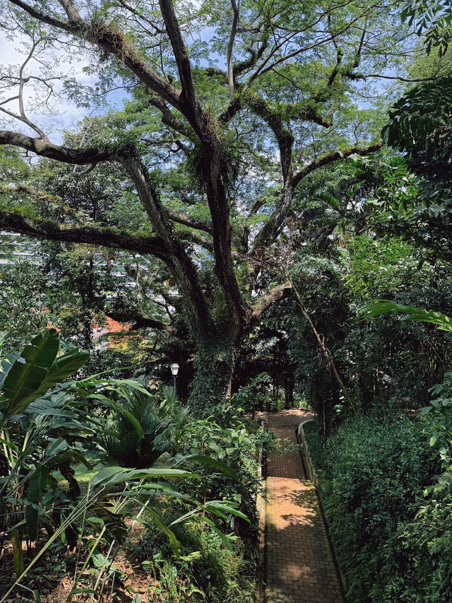 Fort Canning Park เสน่ห์ประวัติศาสตร์กลางใจเมือง