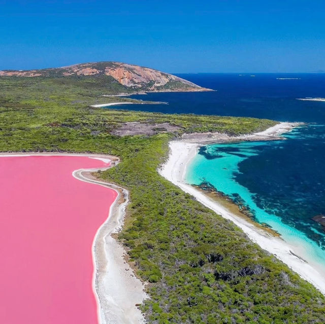 A Pink Paradise: Have You Seen the Stunning Lake Hillier in Perth??