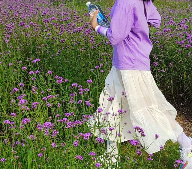 深圳ℓ初春花海