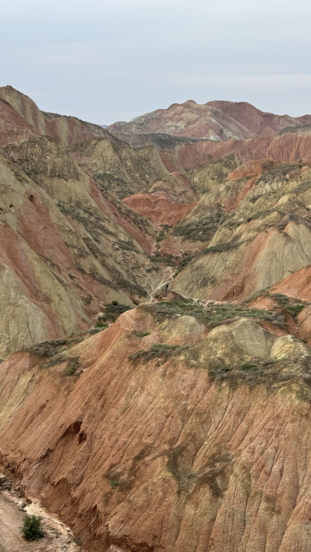 蘭州樹屏水墨丹霞景區