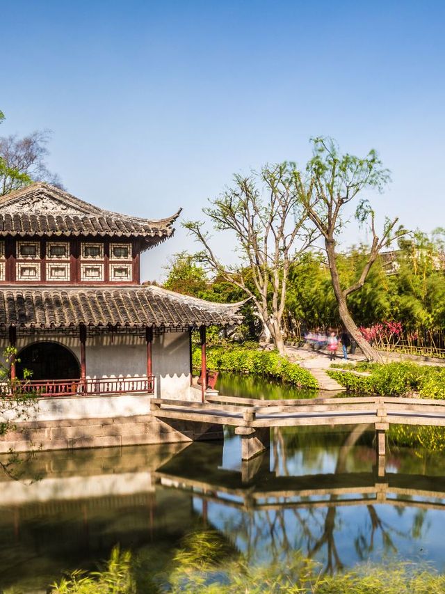 🌸 Enchanting Suzhou: A Journey Through Classical Gardens 🏯