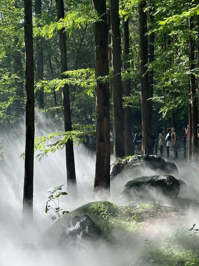 森林吸氧｜ 北京天然氧吧。