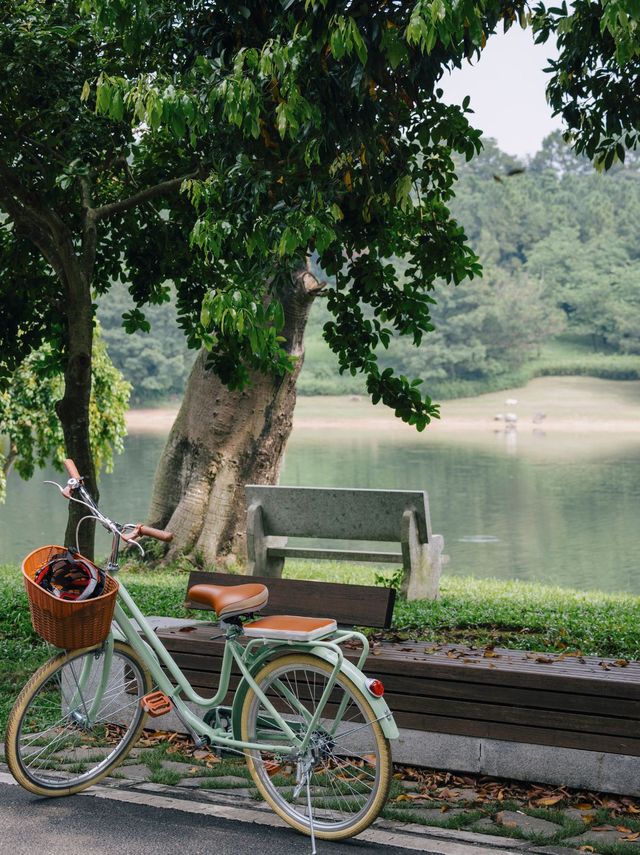 不是歐洲，就在東莞松山湖。