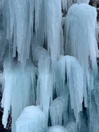 金佛山親子一日遊：冰雪歡樂之旅