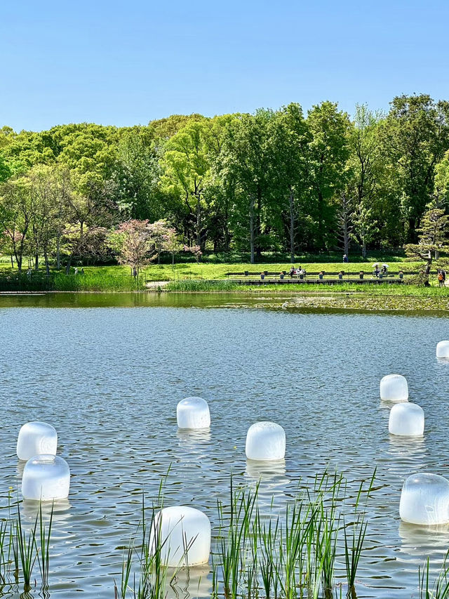 綠意盎然：大阪市立長居植物園的悠閒兩日