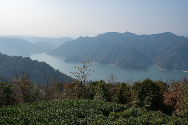 浙江秋日頂流徒步道：更樓古道賞水杉攻略