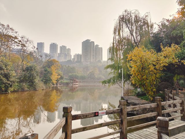 重慶公園巡禮之龍頭寺公園