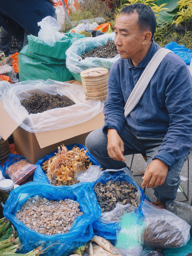 真的要來版納過一次嘎湯帕節