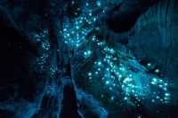 Discover the Enchanting Blue Glowworm Caves of Waitomo