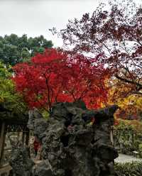 獅子林：石峰奇趣千秋在，花徑清幽萬籟寧