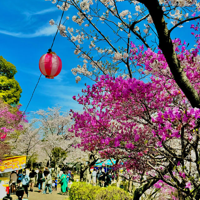 偕楽公園