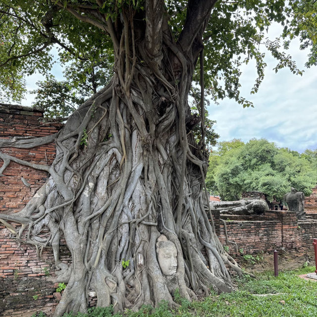 Ayutthaya Historical Park