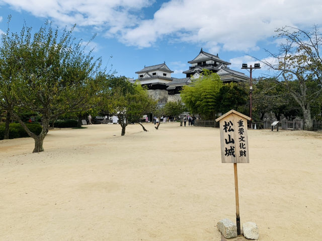 松山城　現存十二天守