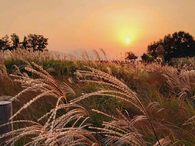 A breathtaking sunset view from Hanuel Park at Seoul