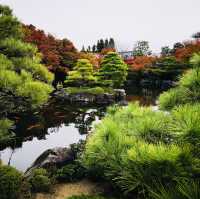 Nature’s Palette: Autumn Bliss at Kokoen Garden, Himeji!