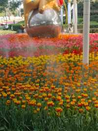 Charming Chiang Mai Flower Festival 2025