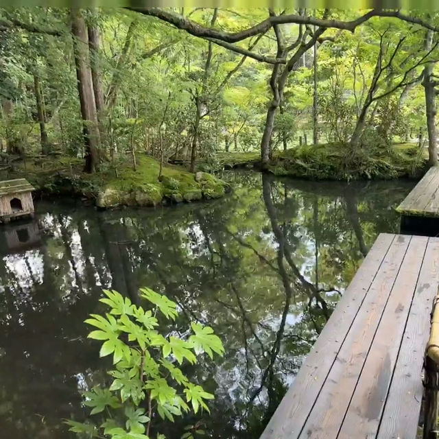 京都天授庵：禪意與紅葉交織的靜謐聖地