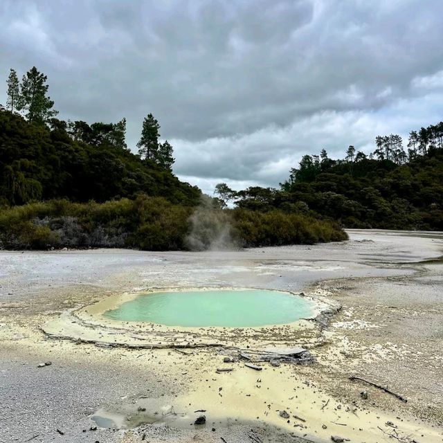 Wai-O-Tapu Thermal Wonderland