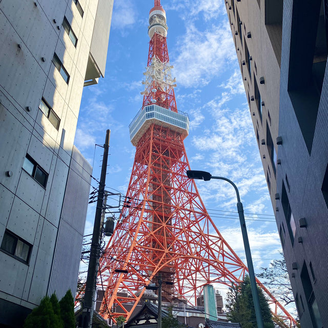 TOKYO TOWER 🗼 