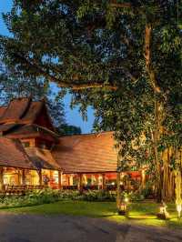 🌟 Chiang Mai's Hidden Gem: Yaang Come Village Hotel 🌿✨