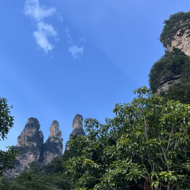 Tianzi Mountain in Zhangjiaje