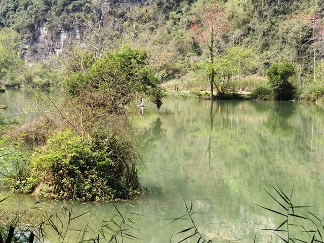 廣西旅遊｜打卡明仕田園，一眼就被驚艷到。