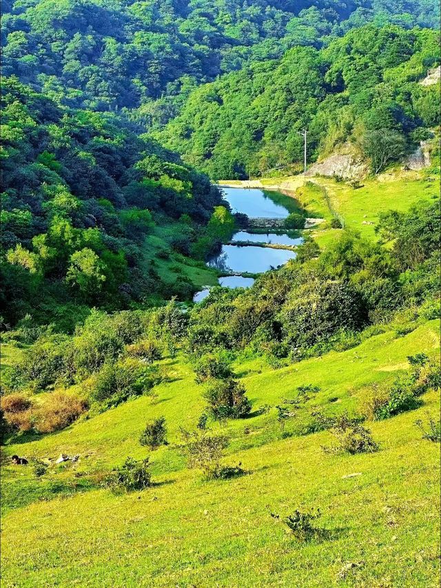 福建大姆山草場：天然治癒的草原之旅。