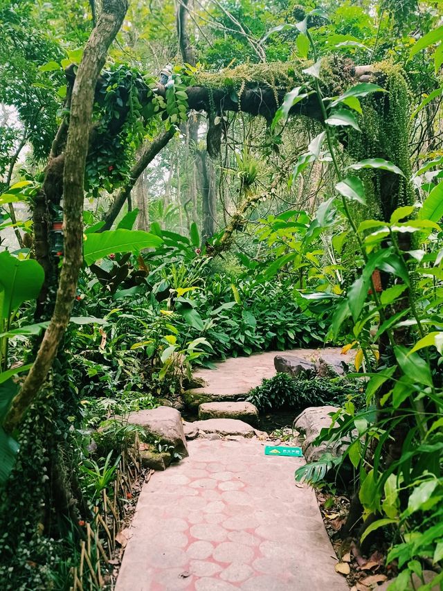 Xishuangbanna Botanic Garden: Real Jungle Garden!