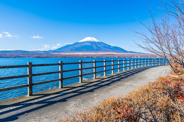 【靜岡，一場治癒的旅行】。