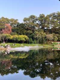 深圳市南山區西麗湖公園