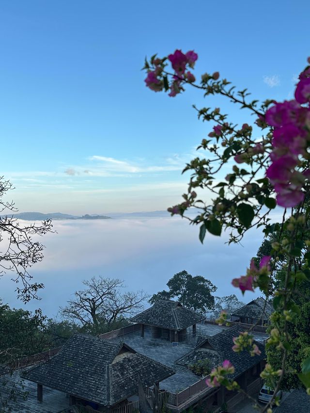 景邁山民宿