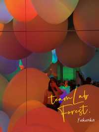 Explore teamLab Forest Fukuoka 