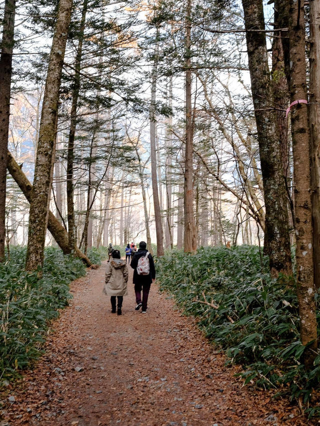 Lost in Kamikochi ในฤดูใบไม้เปลี่ยนสี🍁