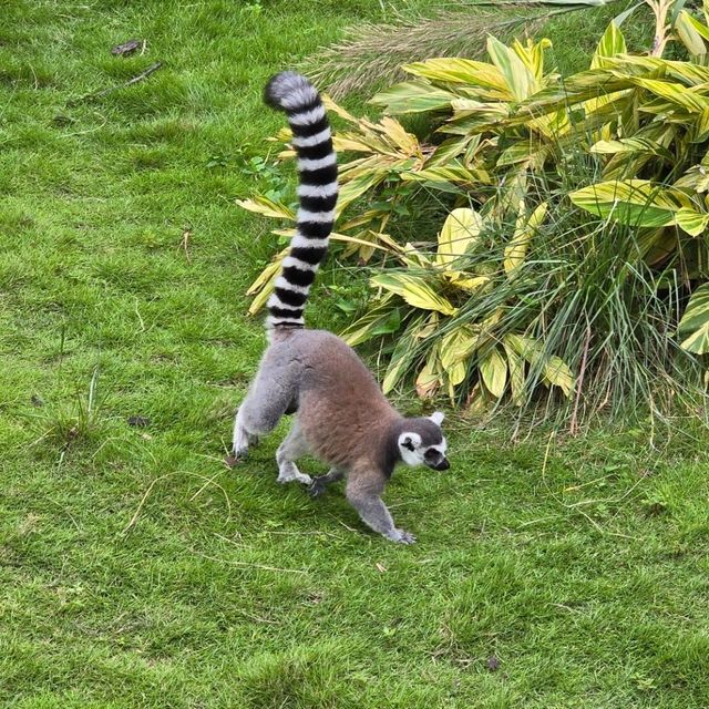 廣州動物園