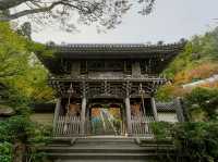 廣島🇯🇵宮島大聖院