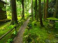 【石川県】日本有数の苔の絶景！「日用苔の里」