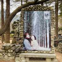 Chilly Adventure on Nami Island