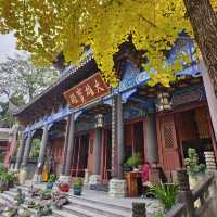 Xinchang Ancient Town (新场古镇) เมืองเก่าเล็กๆ