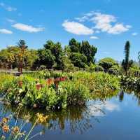 A Summer Escape: Melbourne’s Royal Botanic Gardens