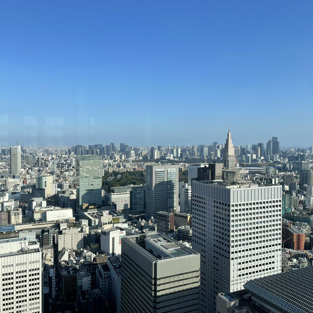 Two Unforgettable Days in Tokyo: A Whirlwind Tour