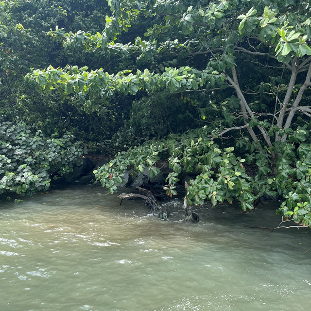 Wholesome fun at Pulau Ubin 