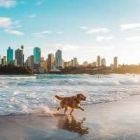 Sydney’s beaches are a sun-soaked paradise,