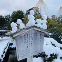 【金沢市🇯🇵兼六園】雪景色に包まれて☺️庭園散策