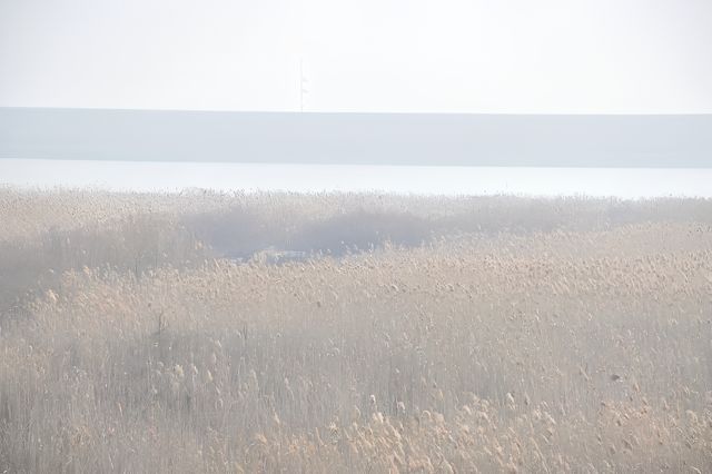 上海金山嘴漁村