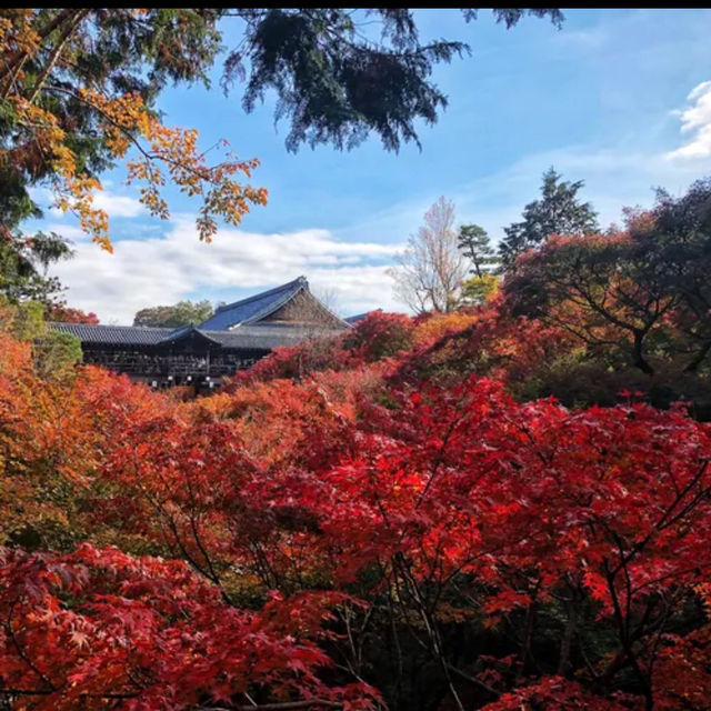 Fall colors in the temples of Japan