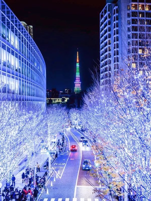 Tokyo's Exclusive Christmas Illumination is Back!