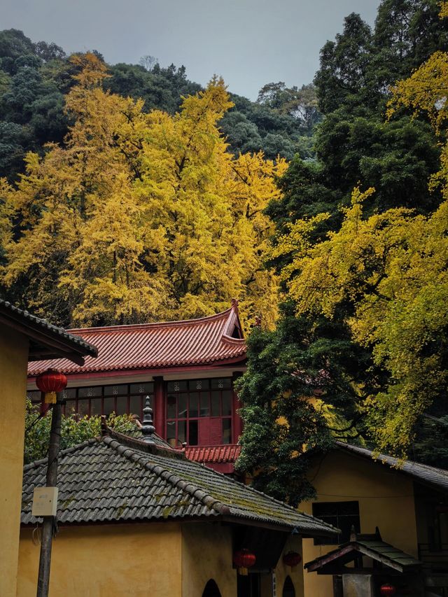 四川白岩寺|千年古剎。