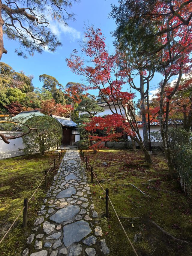 京都賞楓頂流之一：東福寺