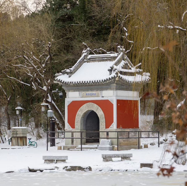 Winter in Beijing 🇨🇳 The Forbidden City 