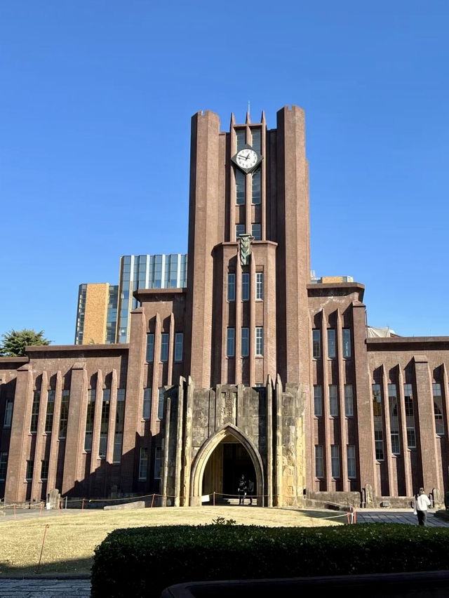 知識與季節的邂逅：東京大學與文藝東京